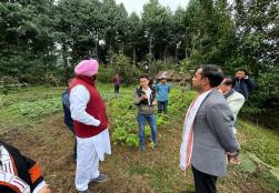 केंद्रीय खाद्य प्रसंस्करण उद्योग राज्य मंत्री श्री रवनीत सिंह बिट्टू ने आज अपनी यात्रा के दौरान अरुणाचल प्रदेश के 'जीरो' में भारत के सबसे बड़े कीवी उत्पादक बाग का दौरा किया। दौरे के दौरान मंत्री जी ने स्थानीय किसानों से उनकी मार्केट में पहुँच और वेल्यू चेन को बढ़ाने के तरीकों पर चर्चा की ताकि उनकी आय में बढ़ोतरी हो सकें और किसान कीवी उत्पादन से देश के सतत विकास में अपना योगदान दे सकें।