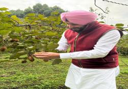 केंद्रीय खाद्य प्रसंस्करण उद्योग राज्य मंत्री श्री रवनीत सिंह बिट्टू ने आज अपनी यात्रा के दौरान अरुणाचल प्रदेश के 'जीरो' में भारत के सबसे बड़े कीवी उत्पादक बाग का दौरा किया। दौरे के दौरान मंत्री जी ने स्थानीय किसानों से उनकी मार्केट में पहुँच और वेल्यू चेन को बढ़ाने के तरीकों पर चर्चा की ताकि उनकी आय में बढ़ोतरी हो सकें और किसान कीवी उत्पादन से देश के सतत विकास में अपना योगदान दे सकें।