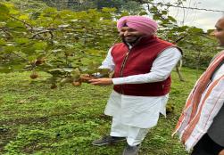 केंद्रीय खाद्य प्रसंस्करण उद्योग राज्य मंत्री श्री रवनीत सिंह बिट्टू ने आज अपनी यात्रा के दौरान अरुणाचल प्रदेश के 'जीरो' में भारत के सबसे बड़े कीवी उत्पादक बाग का दौरा किया। दौरे के दौरान मंत्री जी ने स्थानीय किसानों से उनकी मार्केट में पहुँच और वेल्यू चेन को बढ़ाने के तरीकों पर चर्चा की ताकि उनकी आय में बढ़ोतरी हो सकें और किसान कीवी उत्पादन से देश के सतत विकास में अपना योगदान दे सकें।