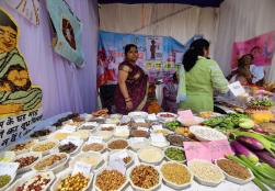 खाद्य प्रसंस्करण उद्यमियों द्वारा प्रदर्शित बाजरा आधारित उत्पाद