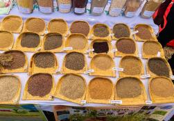 Millet Mahotsav organized in Mandla, Madhya Pradesh from 21 st -22 nd January 2023 by Ministry of Food Processing Industries as part of the International Year of Millets 2023 celebrations.