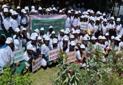 Glimpses from the Millets Rally