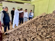 श्री रवनीत सिंह, केंद्रीय राज्यमंत्री, #MOFPI ने खानपारा, री-भोई में स्थित ईस्टर्न री-भोई ऑर्गेनिक फार्मर प्रोड्यूसर ऑर्गनाइज़ेशन लिमिटेड का दौरा किया। मिशन ऑर्गेनिक वैल्यू चेन डेवलपमेंट फॉर द नॉर्थ ईस्टर्न रीजन (MoVCDNER) के तहत 2017 में स्थापित इस एफपीओ का प्रबंधन 11 निदेशकों के बोर्ड द्वारा किया जाता है, जिसका प्रतिनिधित्व 9 गांवों के लगभग 500 किसान करते हैं तथा बिजली और सौर ऊर्जा का उपयोग करके अदरक से बने प्रसंस्कृत उत्पादों पर ध्यान केंद्रित करते हैं। 