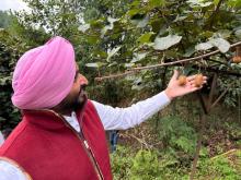 केंद्रीय खाद्य प्रसंस्करण उद्योग राज्य मंत्री श्री रवनीत सिंह बिट्टू ने आज अपनी यात्रा के दौरान अरुणाचल प्रदेश के 'जीरो' में भारत के सबसे बड़े कीवी उत्पादक बाग का दौरा किया। दौरे के दौरान मंत्री जी ने स्थानीय किसानों से उनकी मार्केट में पहुँच और वेल्यू चेन को बढ़ाने के तरीकों पर चर्चा की ताकि उनकी आय में बढ़ोतरी हो सकें और किसान कीवी उत्पादन से देश के सतत विकास में अपना योगदान दे सकें।